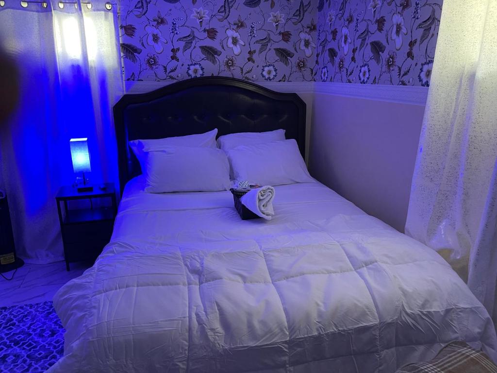 ElmontA unique beautiful home的一间卧室配有一张白色的蓝色调床
