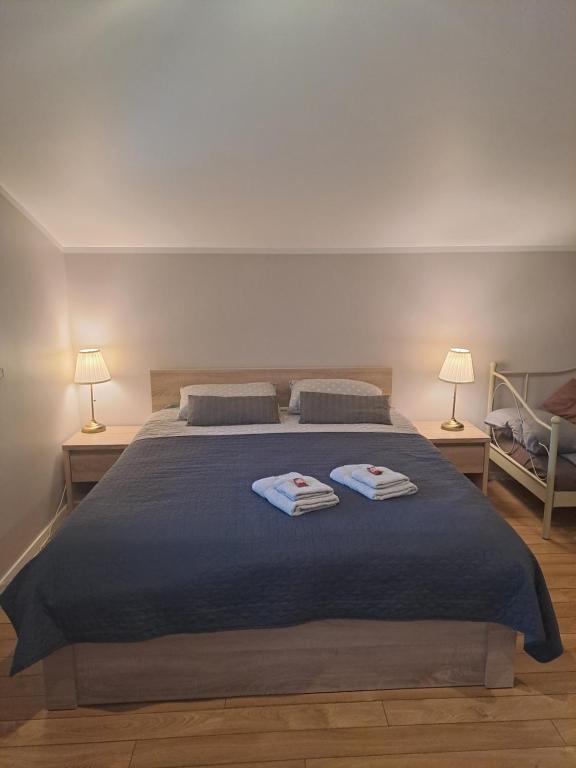 斯伽尔达Rožu iela的一间卧室配有一张大床和两条毛巾