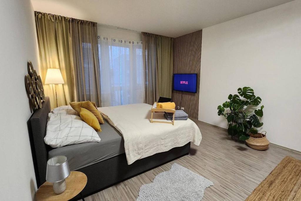 贝龙Apartmán Sky s balkonem的一间卧室配有一张床,并在一间客房内配有电视。