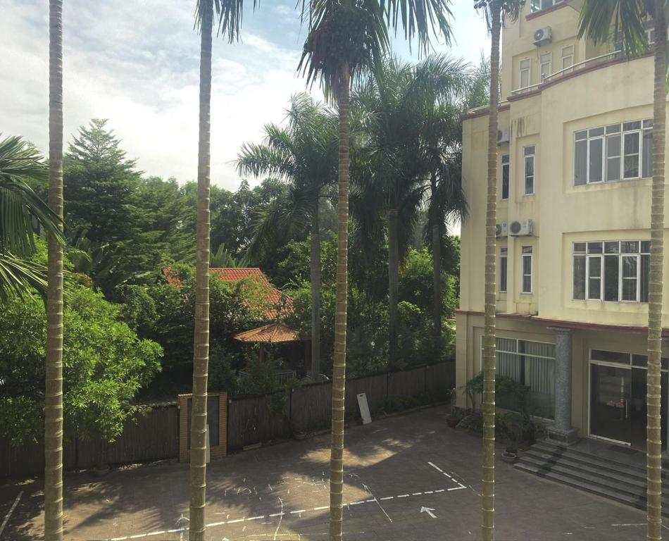 海阳Khách sạn Phương Đông的一座棕榈树建筑