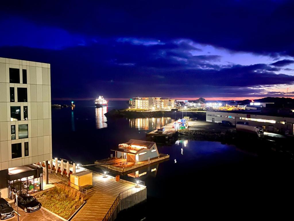斯沃尔韦尔Luxury penthouse apt with amazing views的夜间城市景观,码头