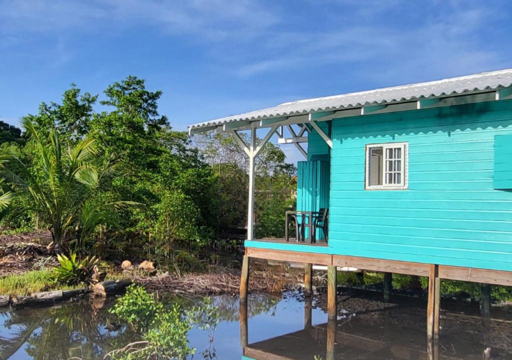 博卡斯德尔托罗Coco Key EcoLodge 45m2 private and sea access的蓝色房子,靠近水体