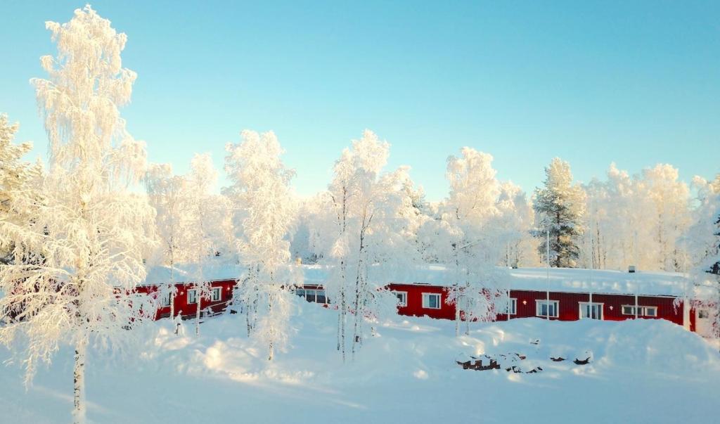 Sonka帕罗意罗马可山林小屋的一座红楼,有树覆盖着雪