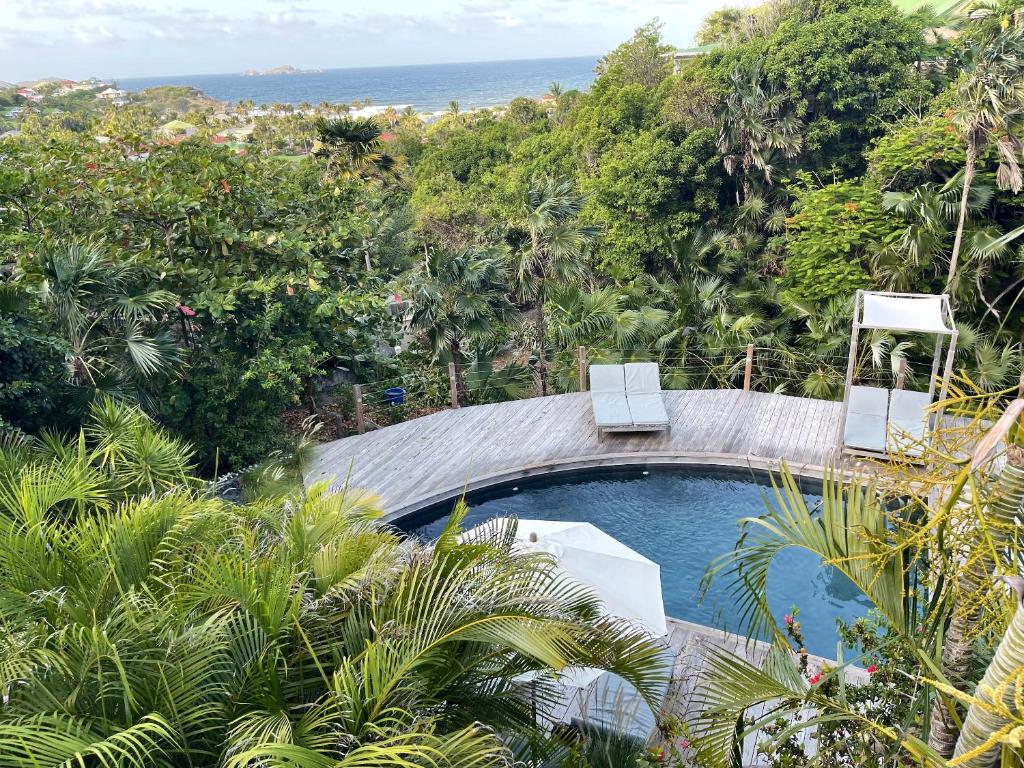 古斯塔维亚Heavenly Villa in Gustavia with Private Pool的一个带两把椅子的游泳池以及大海