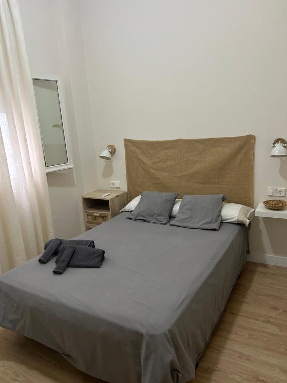 加的斯Habitación en Plaza Mina的一间卧室配有一张带两个枕头的床