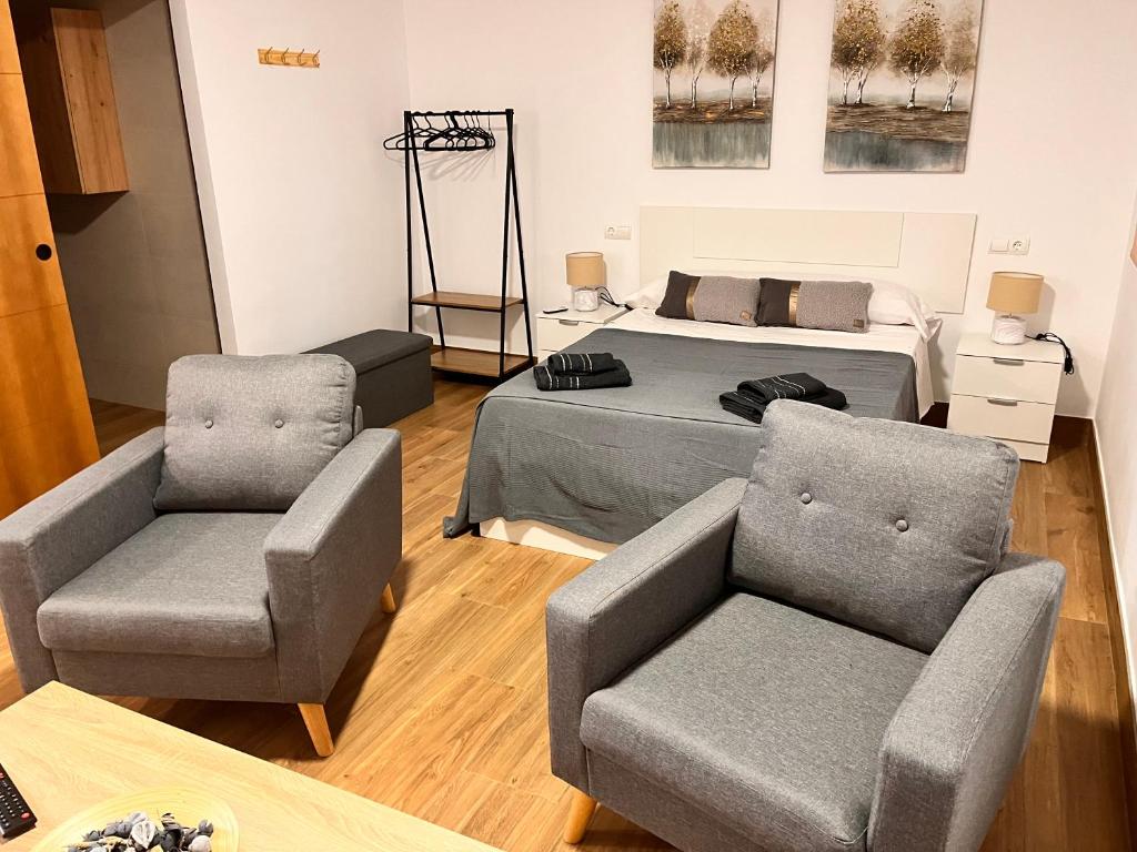 阿尔奇多纳Apartamentos El PELIGRO 2 LAHIVE的客厅配有一张床和两把椅子