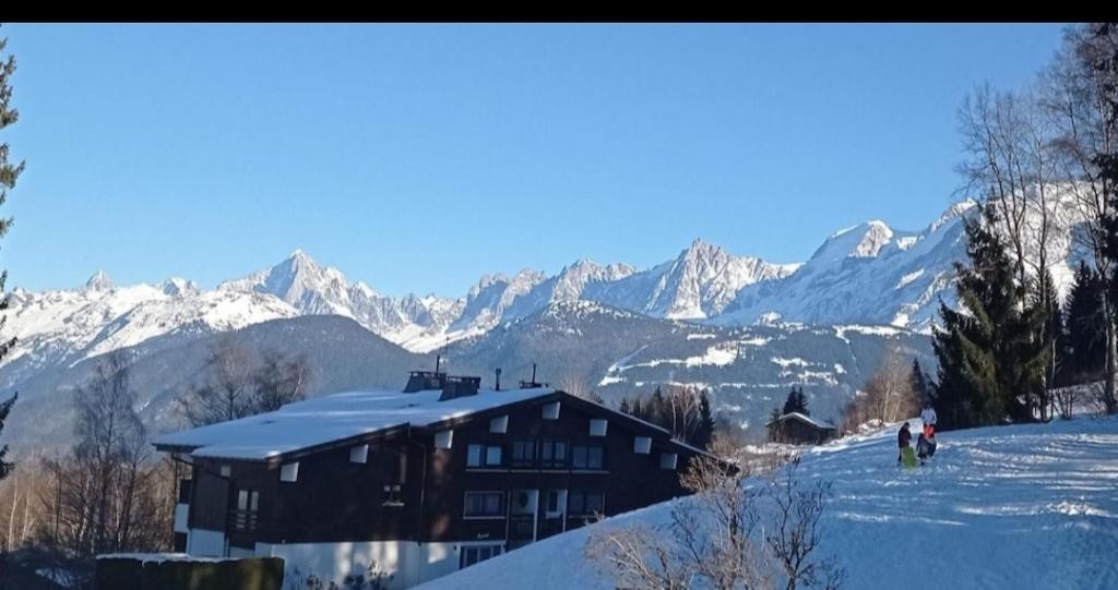 孔布卢Studio porte du Mont Blanc Combloux aux pieds des pistes的山丘上的房子,背景是山