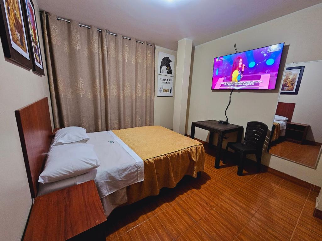 纳斯卡HOSTAL VEGA'S NAZCA的一间卧室配有一张床和一台平面电视