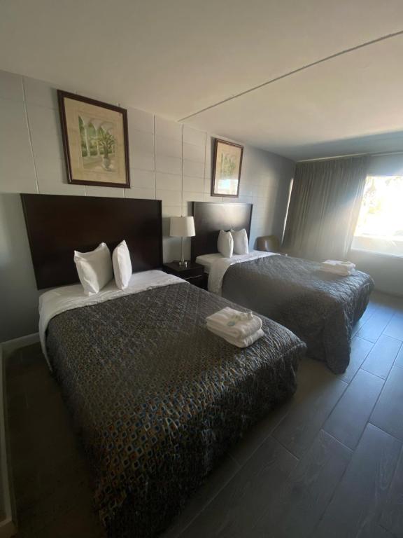默特尔比奇Palmsbythebeach的酒店客房设有两张床和窗户。