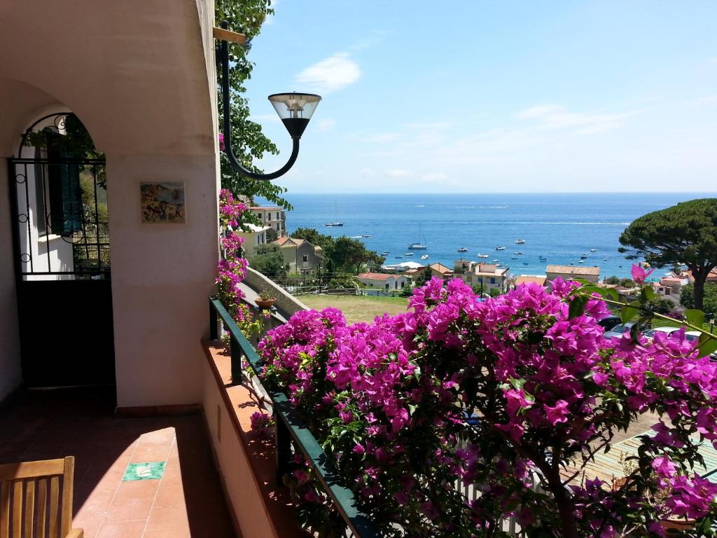 切塔拉卡萨瓦坎博甘酒店的阳台种有紫色花卉,享有海景