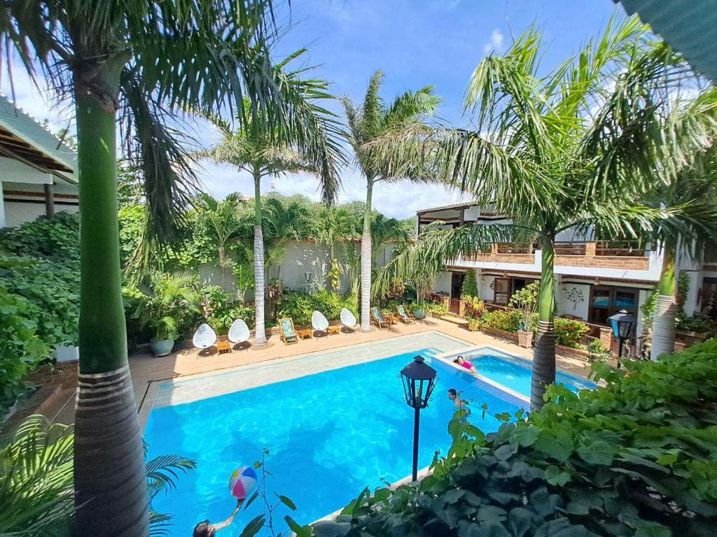 圣玛尔塔Camali Hotel的棕榈树游泳池的形象