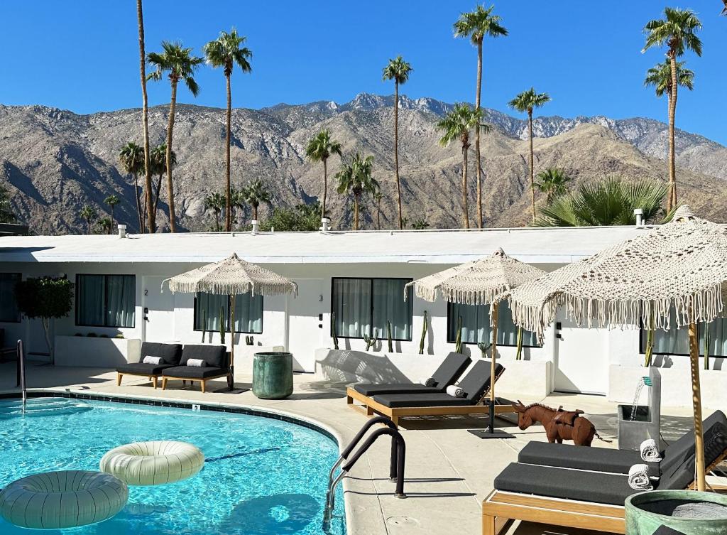 棕榈泉Jazz Hotel Palm Springs的一座带游泳池和棕榈树的房子
