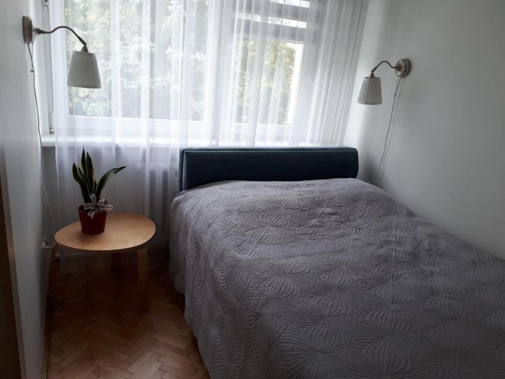 奥尔什丁Apartament Telimena的卧室配有一张床,窗户旁有盆栽植物