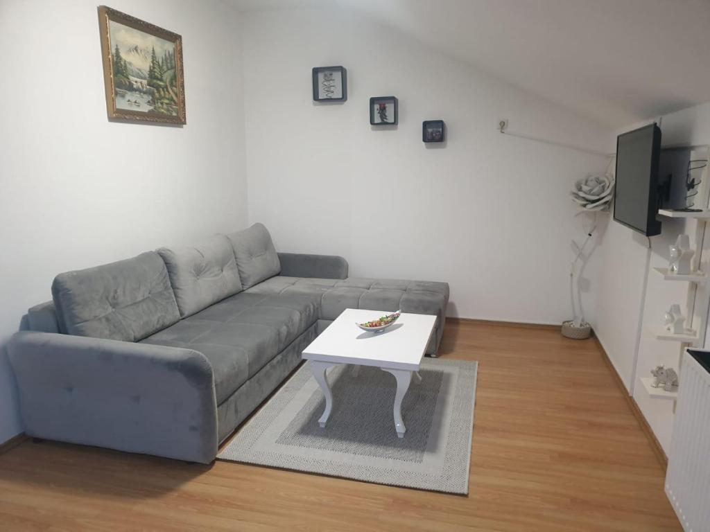 茹帕尼亚APARTMAN SOFIA的客厅配有沙发和桌子