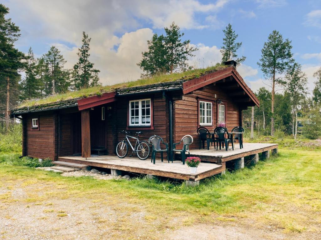 勒罗斯Ryen Hytteutleie - Cottages的一个带草屋顶的小小木屋