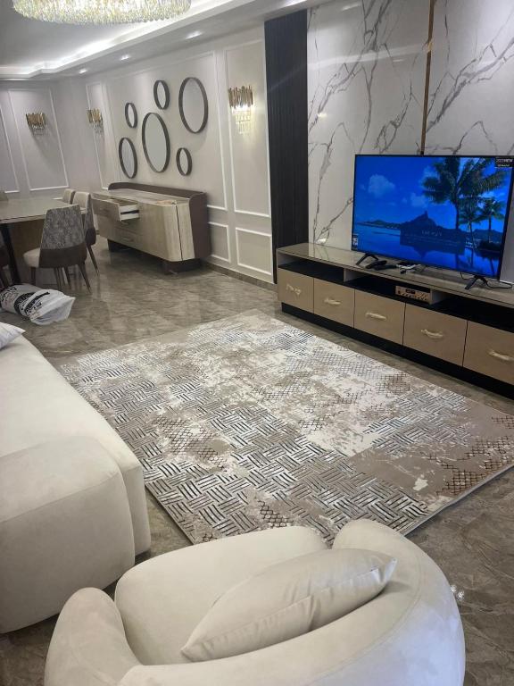 开罗Luxury MinaS partment的带沙发和电视的客厅