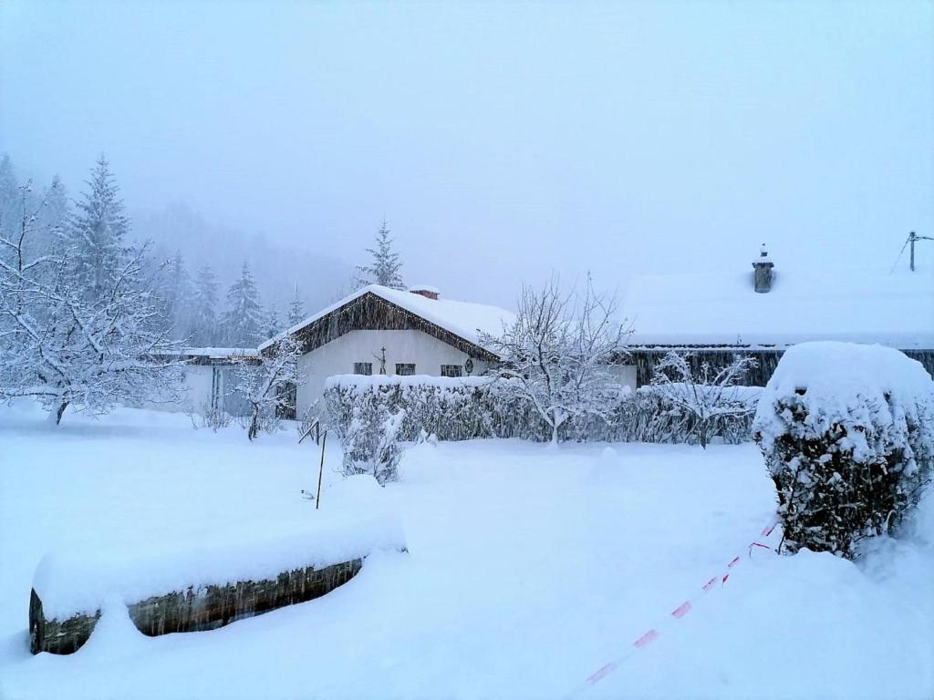 UntertwengYannsa的雪覆盖的院子,背景是房子