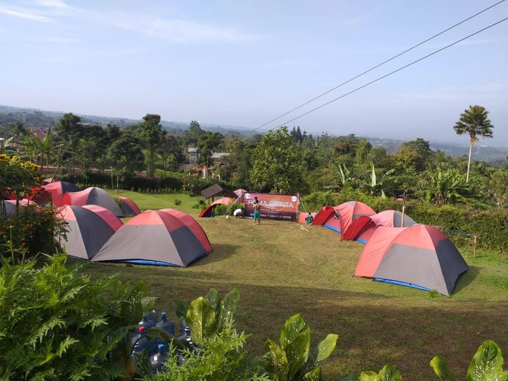 Camp Bukit Biru Kalimantan的一群帐篷在田野里排成一排
