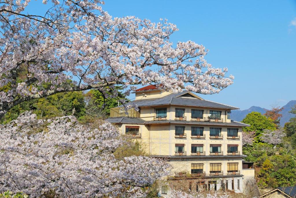 宫岛聚景庄酒店的前面有一座大建筑,上面有樱花树