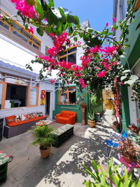 萨尔瓦多Nomads Hostel Multicultural & Coworking的户外庭院种有粉红色的花卉和植物