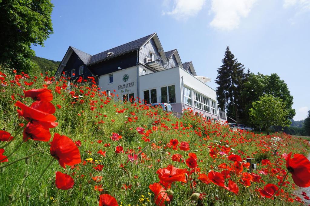 奥尔斯贝格新克恩威尔特瓦尔德酒店的一片红色的罂粟在房子前面