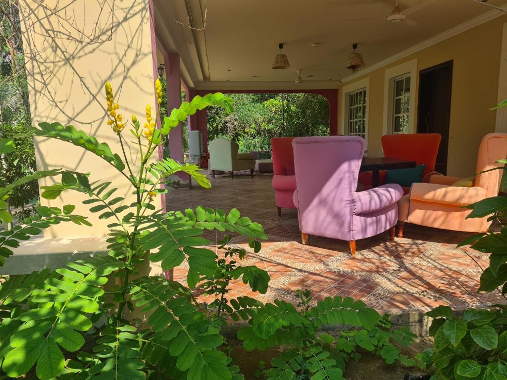 里瓦Botanical Garden Vacation House的客厅配有粉红色的椅子和桌子