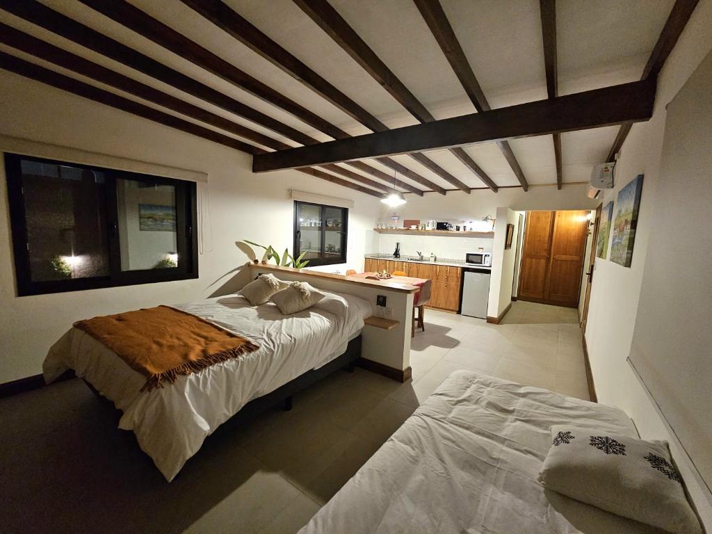 圣安东尼奥德阿雷科Posada del Atelier的一间带大床的卧室和一间厨房
