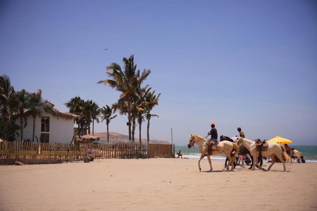 曼克拉Los Almendros de Máncora的一群人在海滩上骑马