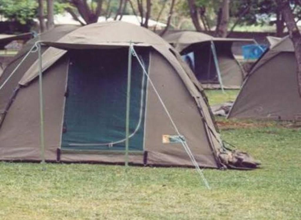 LushotoCamping Magamba Forest的一群帐篷坐在草地上