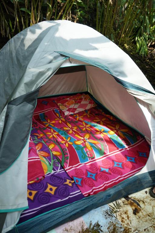 瓦亚纳德Willow Creek的帐篷内有色彩缤纷的毯子