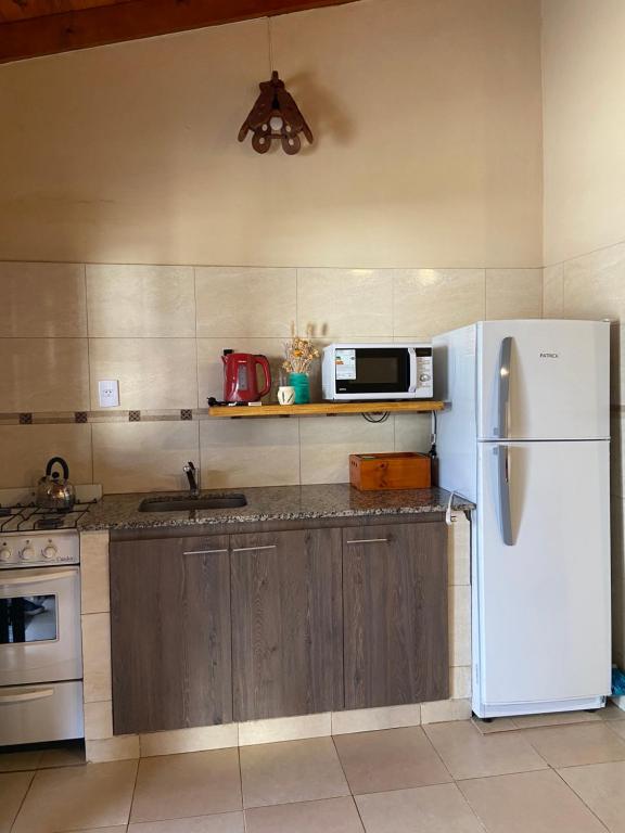 塔菲德尔瓦勒Cabañas La Suyana的厨房配有白色冰箱和微波炉