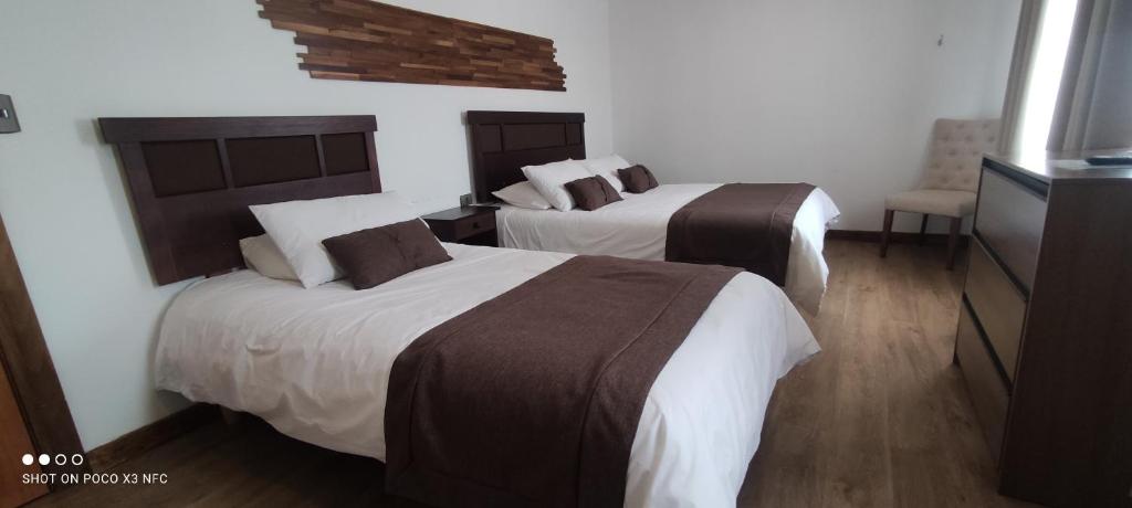 波韦尼尔Hotel y Cabañas Pulegan的酒店客房带两张床和梳妆台