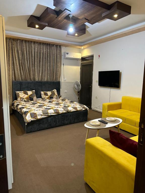 伊尔比德Furnished Studio for rent的一间卧室配有一张床、一张沙发和一台电视。