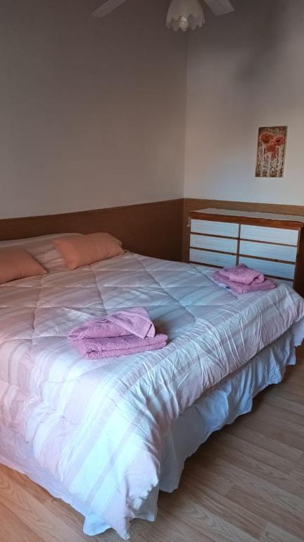 内乌肯Mi casa, tu casa. Entre Plottier y Neuquen.的一间卧室配有一张大床,上面有粉红色的毛巾