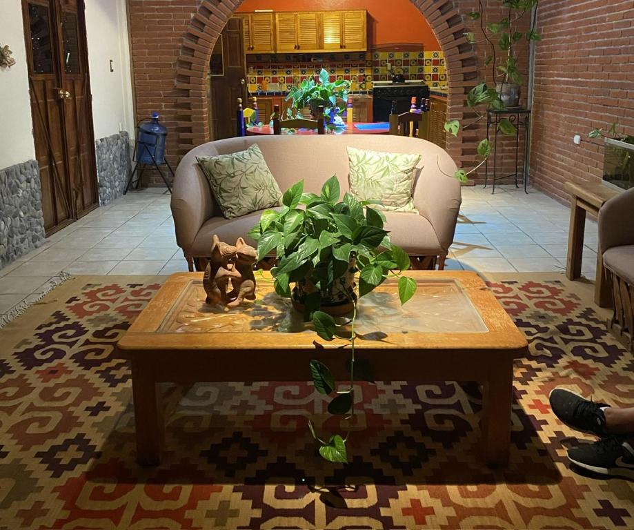 Teotitlán del ValleCasa Gutiérrez的客厅配有带盆栽的茶几