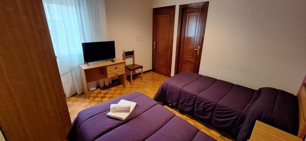 Pensión Río Cenza的客厅配有紫色沙发和电视