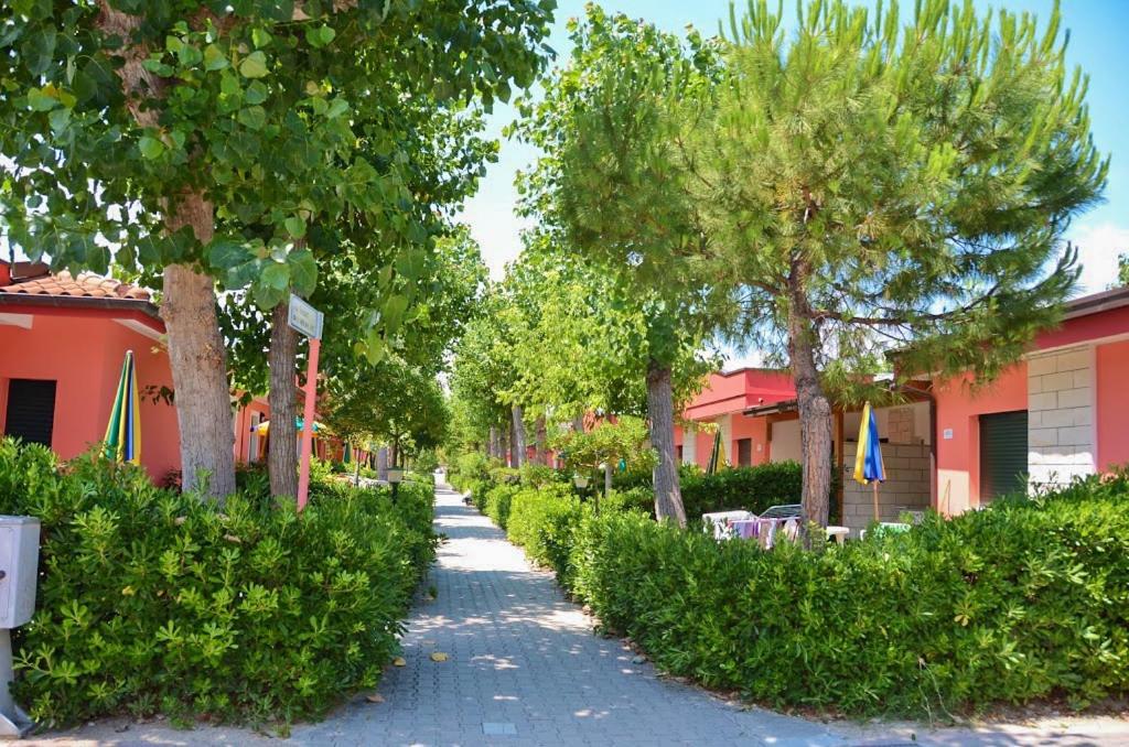 托尔托雷托Villaggio Welcome Riviera d'Abruzzo的一条树木林立的街道和一条人行道