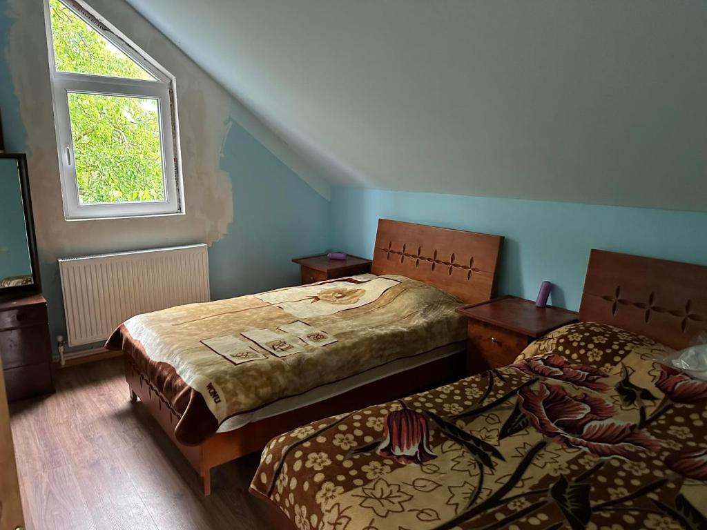 TʼianetʼiTianeti Purple Villa的一间卧室设有两张床和窗户。