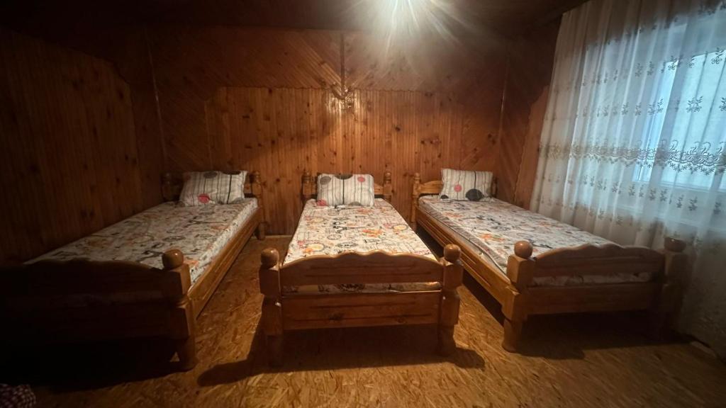 BozovecGuest House BOZVILL的带窗户的客房内设有两张单人床。