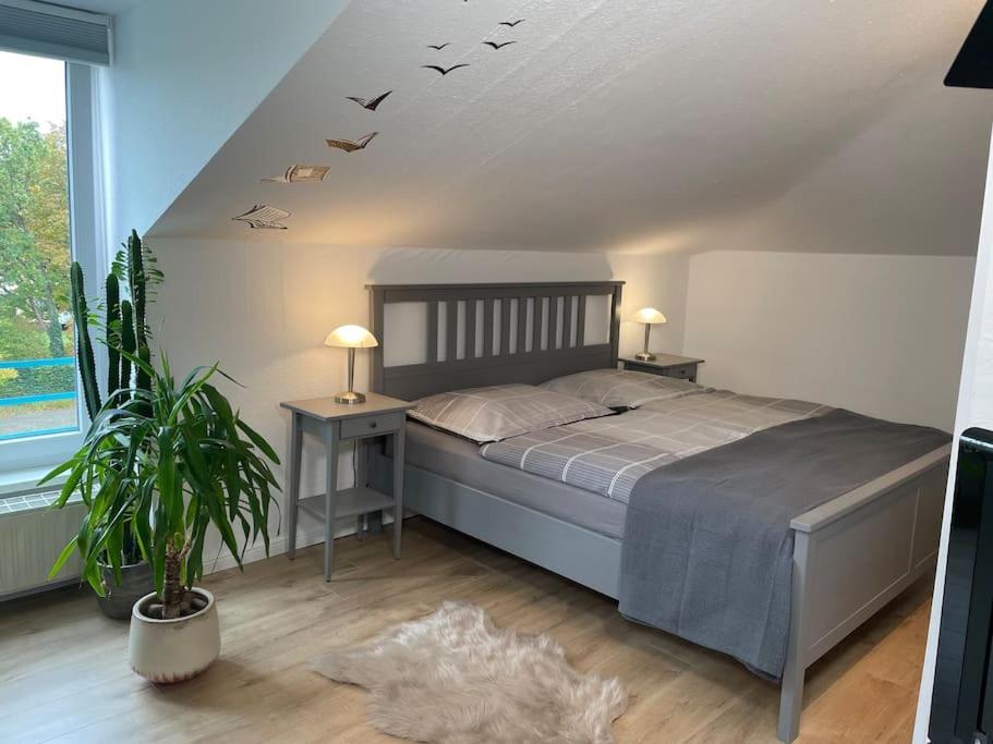 奥尔登堡Modernes Apartment in Oldenburg的一间卧室的天花板上配有一张鸟床