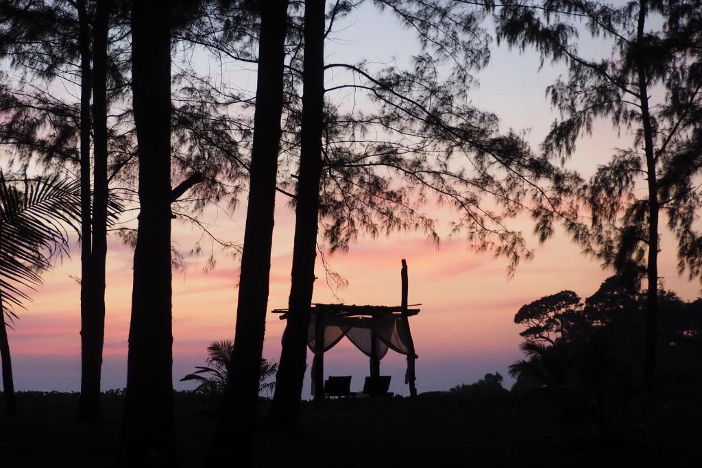 Ko Phra ThongThe Moken Eco Village - SHA plus的树上的日落,树上的桌子上有一个十字架