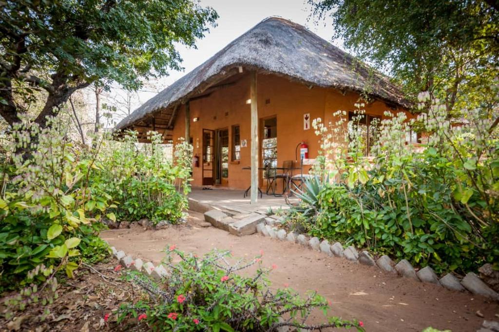 卡萨内African Sunsets (Bophirimo Self-Catering Guest House)的花园中带茅草屋顶的小房子