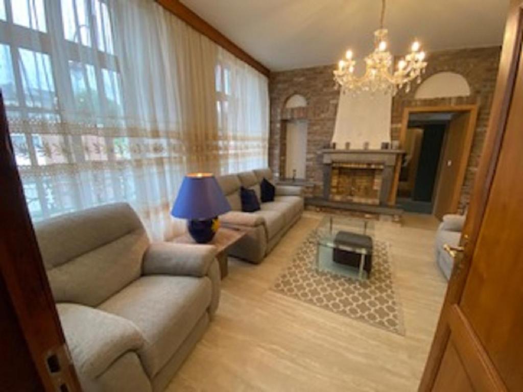 绍德方丹IL卡斯特里诺酒店的带沙发和壁炉的客厅