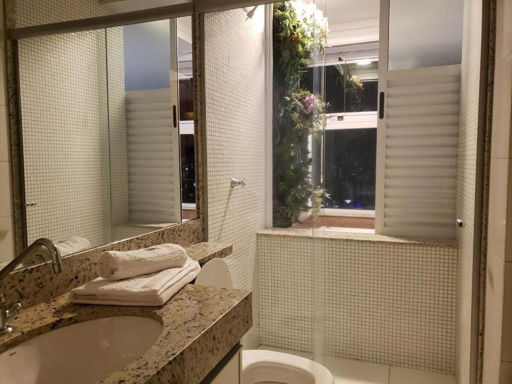 戈亚尼亚Banho de Lua - Vaca Brava的一间带水槽、卫生间和镜子的浴室