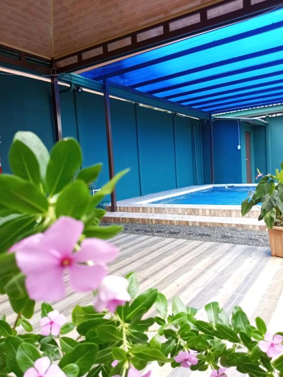 福尔图纳Arenal Palacios的前方有粉红色花的别墅内的游泳池