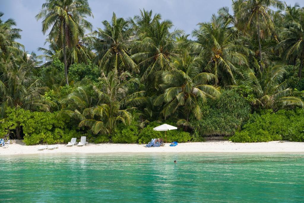 科卢马杜卢Oceana Inn Maldives的棕榈树和椅子以及遮阳伞的海滩