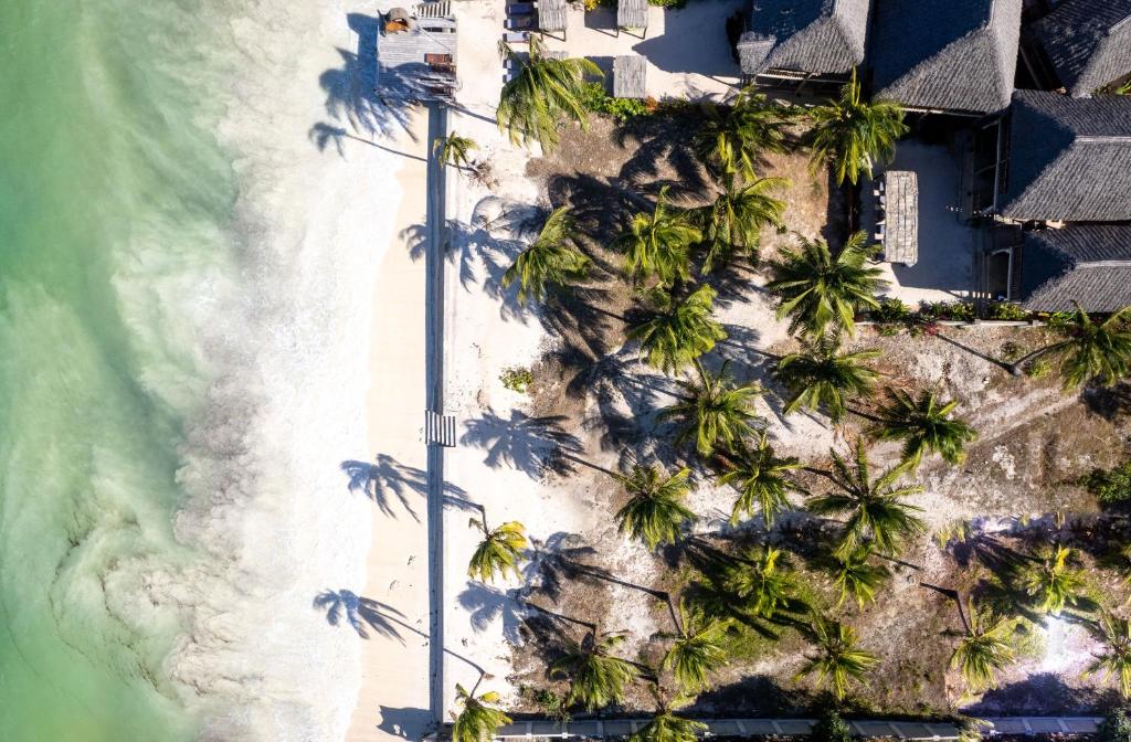 米查维Shanuo Beach Bungalows的棕榈树海滩的空中景致