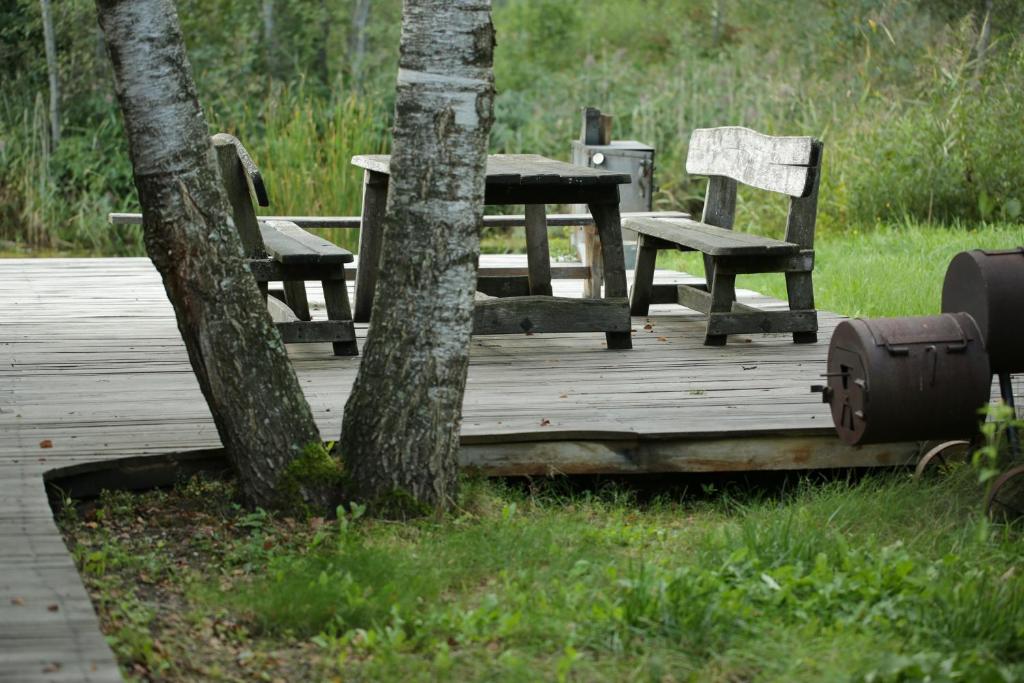 特尔希艾Auksinio elnio dvaras的木甲板,配有两把椅子和一张桌子,还有一棵树