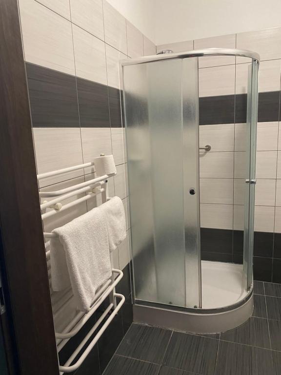 KosobudzHotel Kos的浴室设有玻璃淋浴间,备有毛巾