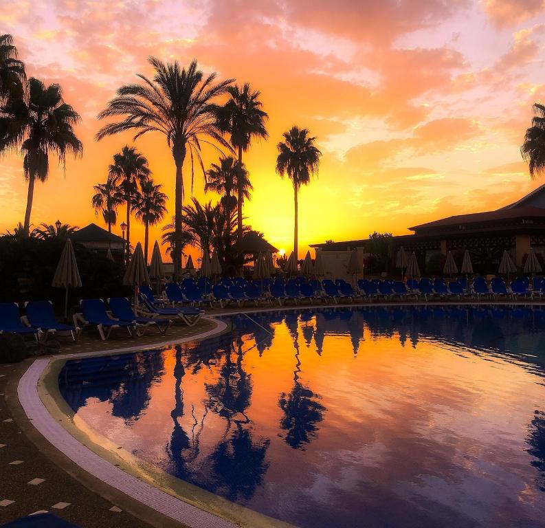 阿德耶Tenerife Holidays的棕榈树泳池和日落背景